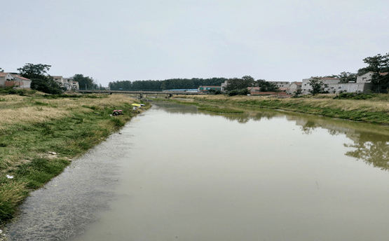 河道面源污染整治方案